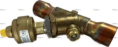 Injap pengembangan untuk pembawa